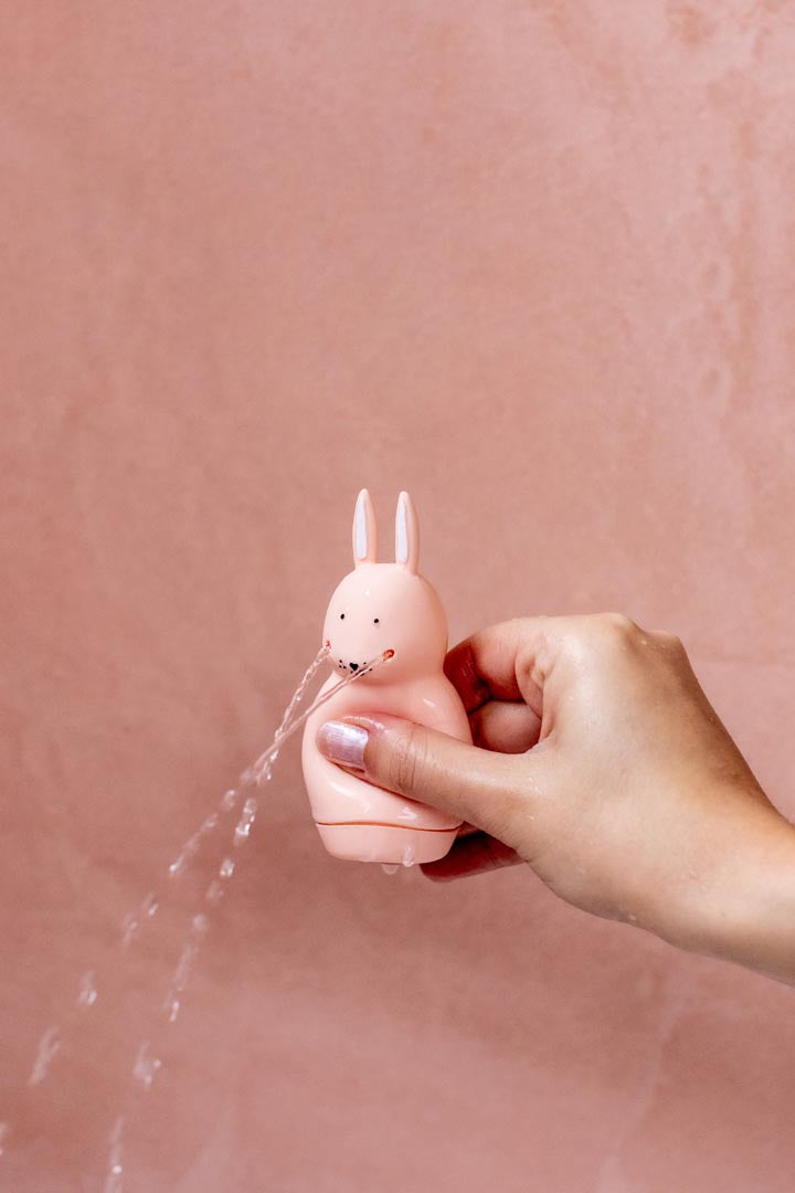 Jouet de bain Mr RABBIT et Mr FOX TRIXIE