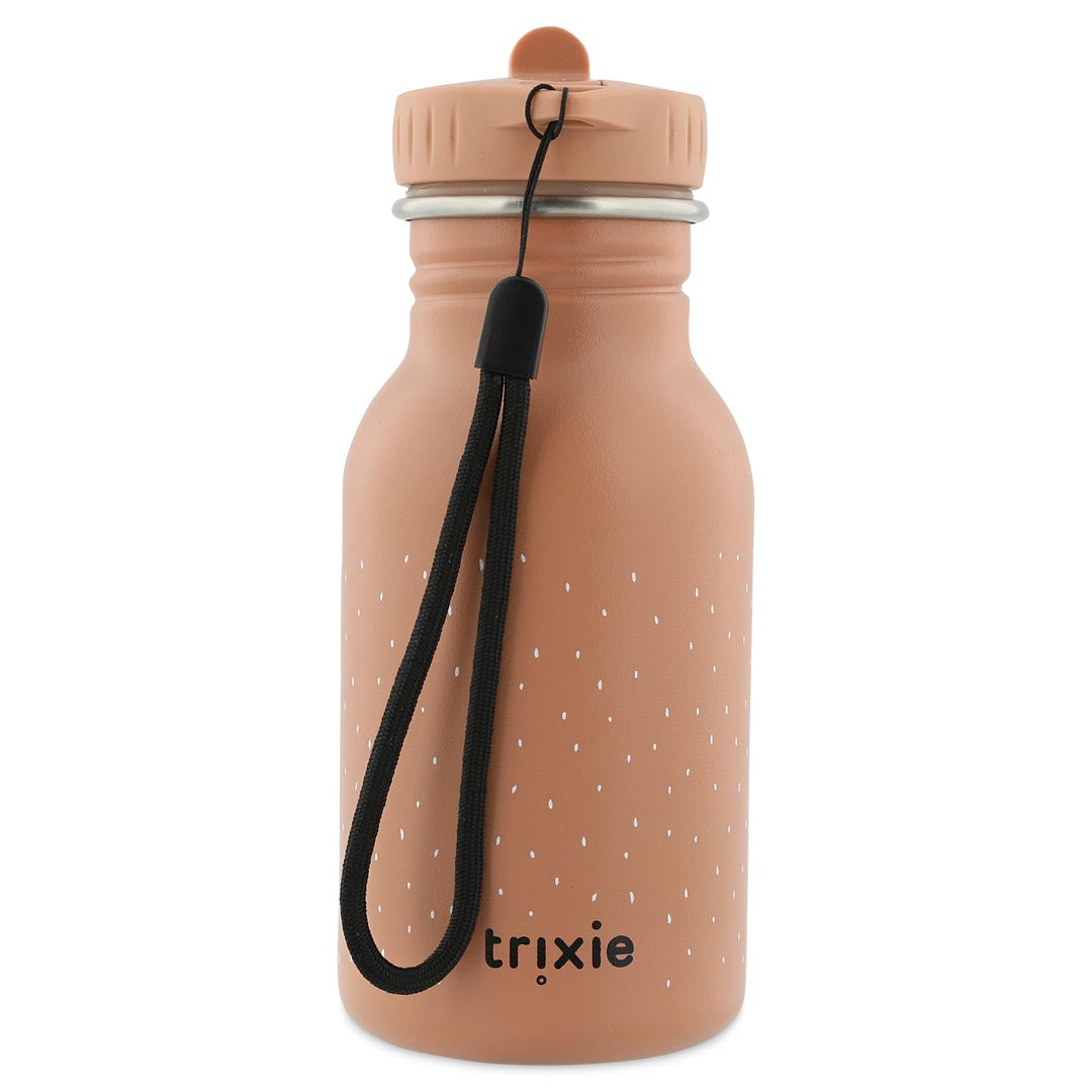 Gourde Mr CHAT TRIXIE