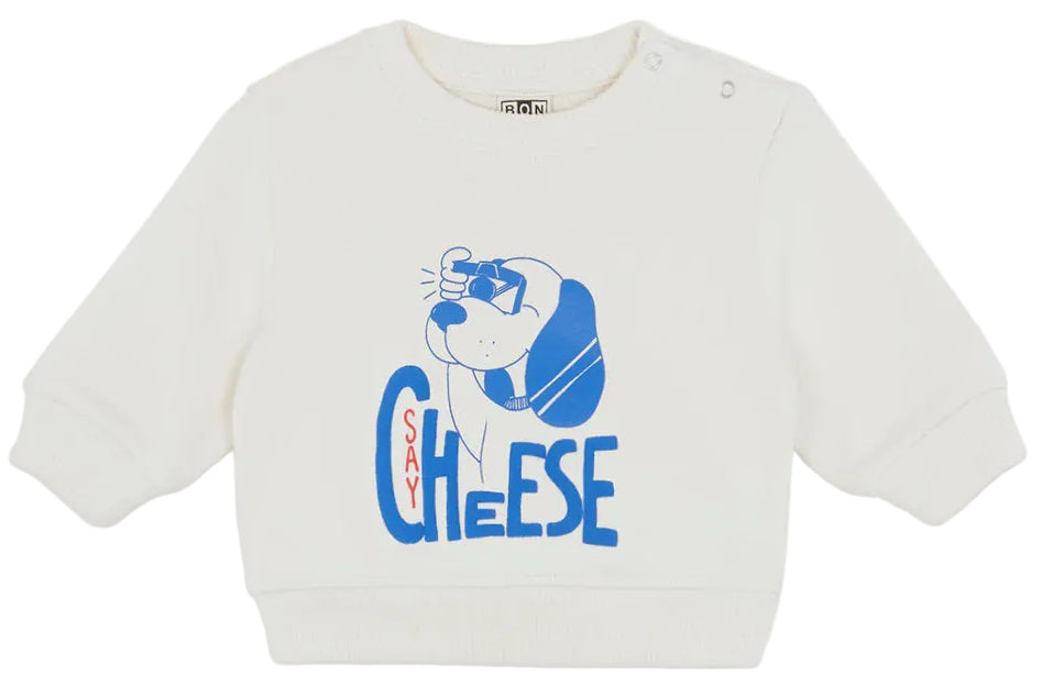 
    alt="Chevron descendant icône"
  