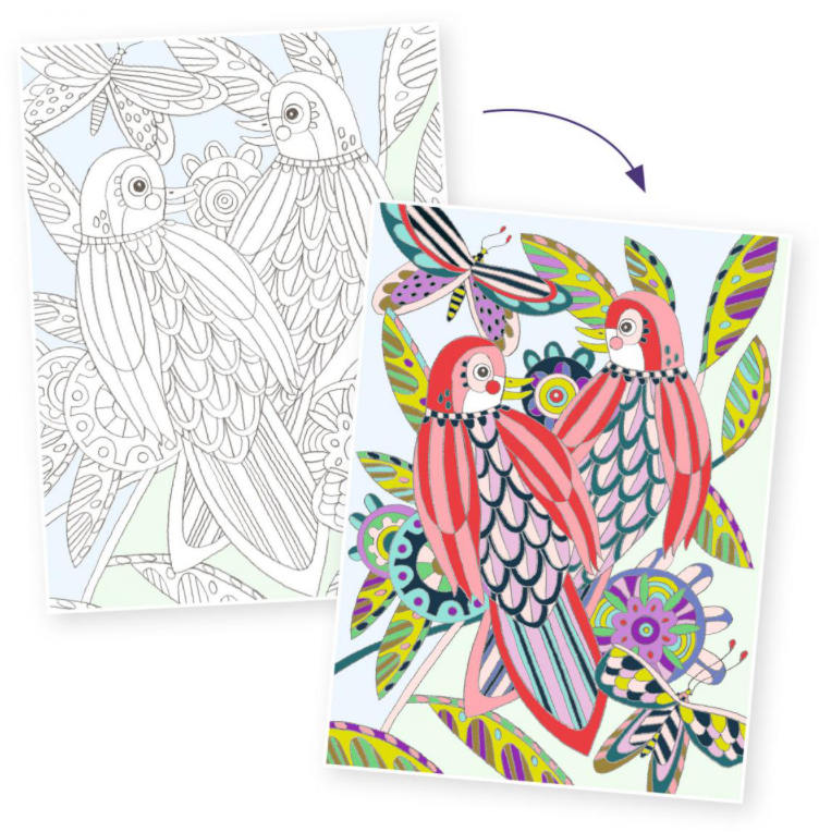Coloriage Oiseaux DJECO