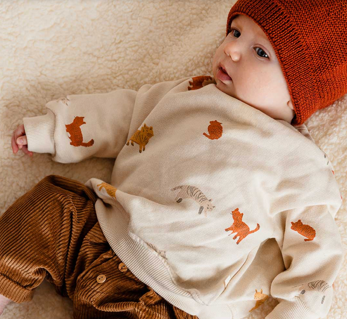 Pull SOAN à motifs chats Mistigri LES PETITES CHOSES