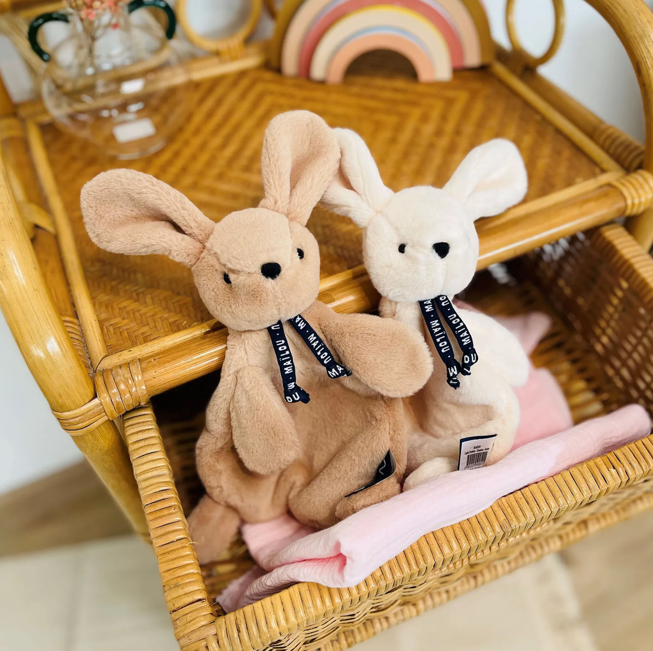 Lapin dorlotin Ivoire MAÏLOU