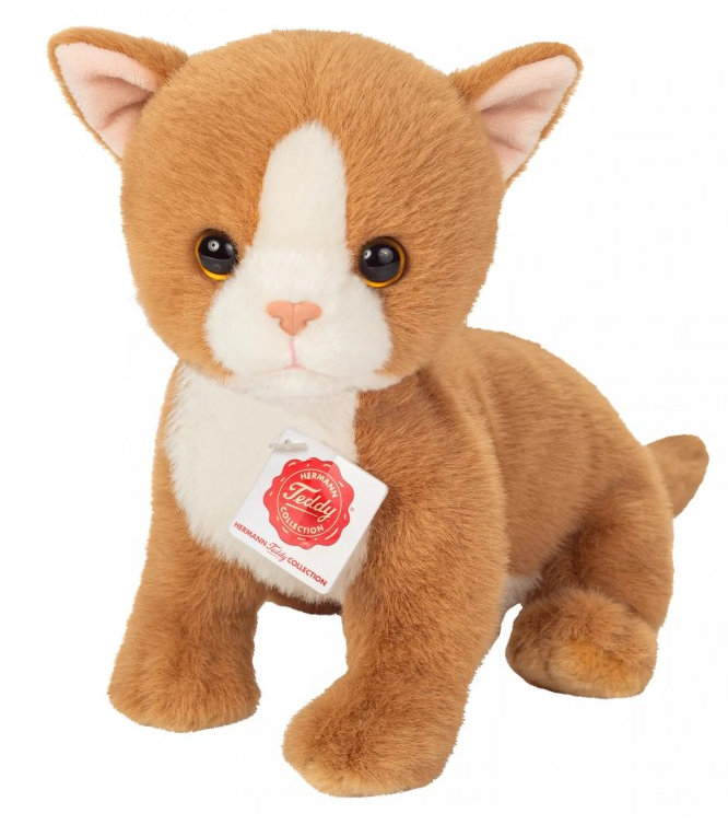 
    alt="Chevron descendant icône"
  