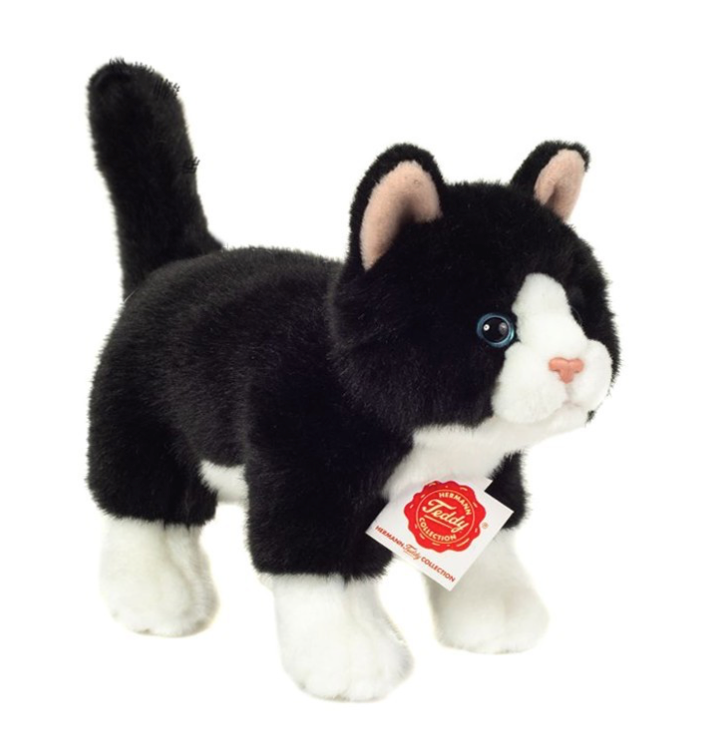 
    alt="Chevron descendant icône"
  