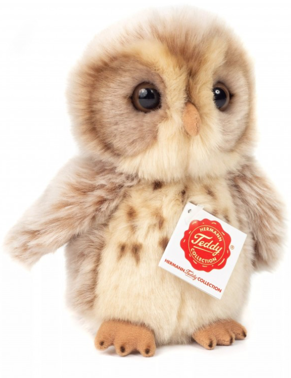 
    alt="Chevron descendant icône"
  