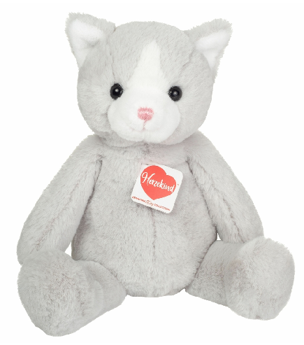 
    alt="Chevron descendant icône"
  