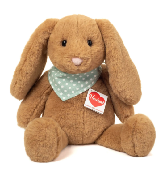 
    alt="Chevron descendant icône"
  