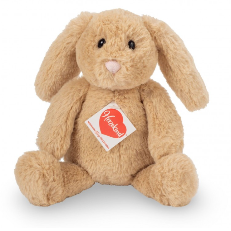 
    alt="Chevron descendant icône"
  