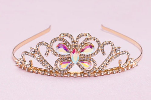 
    alt="Chevron descendant icône"
  