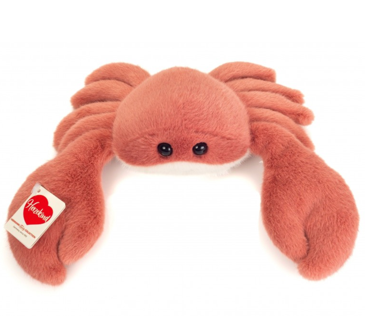 
    alt="Chevron descendant icône"
  