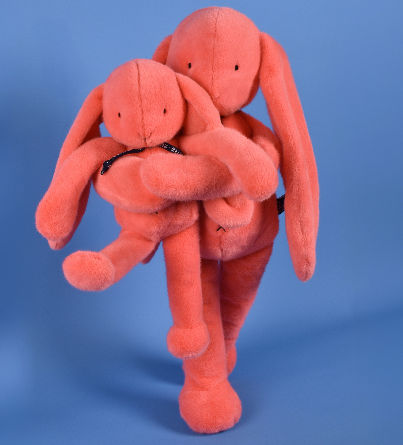 Lapin MÉLOÉ Corail Acidulé MAÏLOU