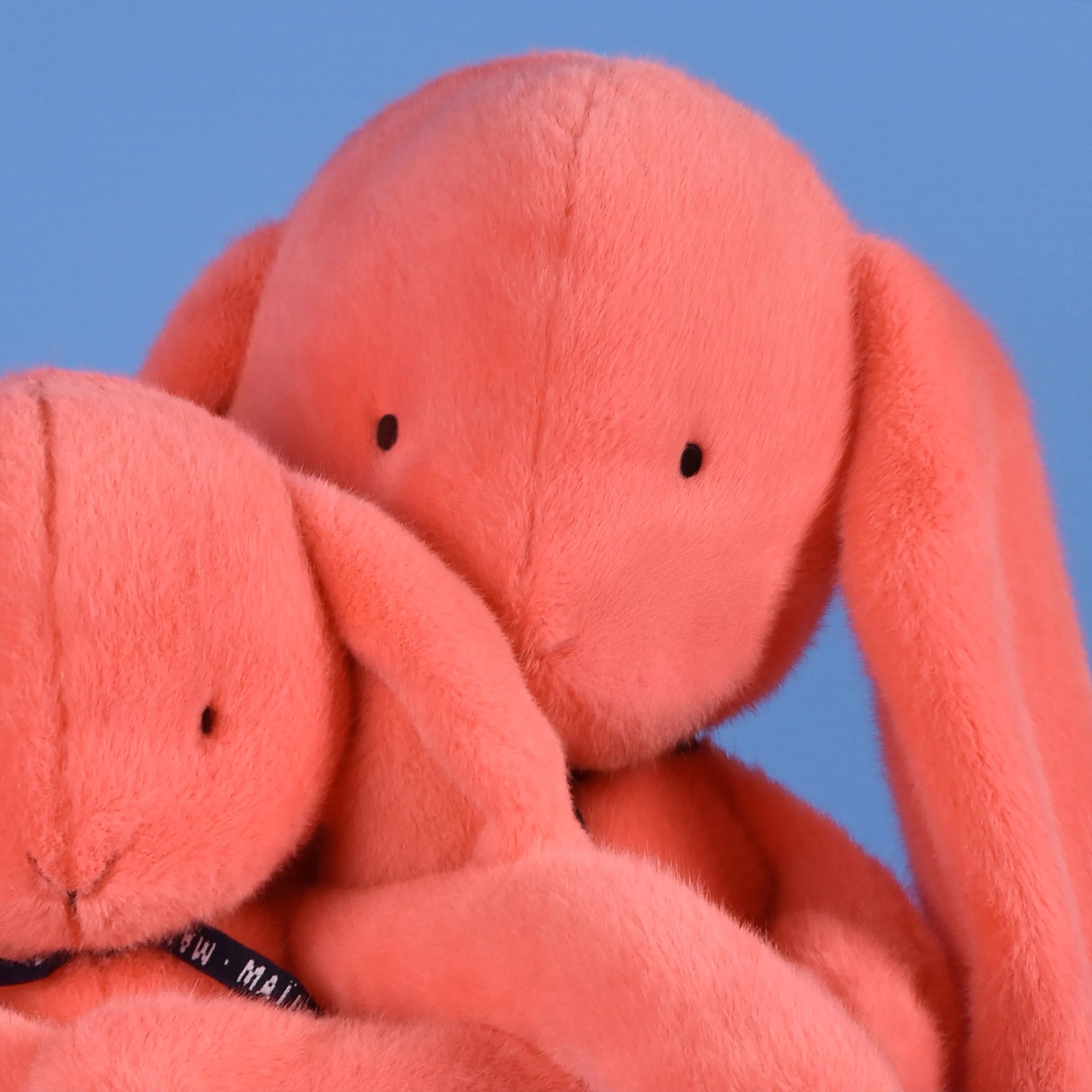 Lapin MÉLOÉ Corail Acidulé MAÏLOU