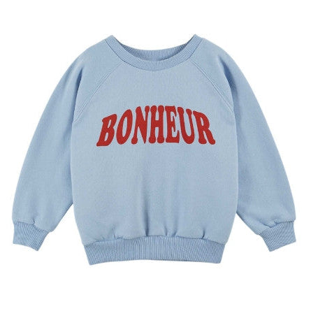 
    alt="Chevron descendant icône"
  